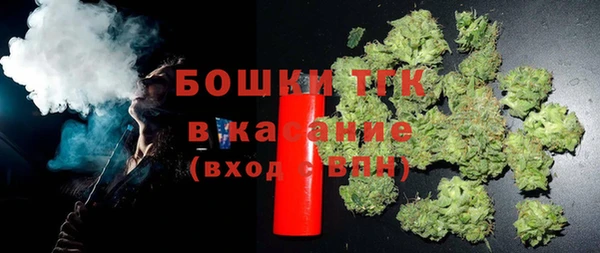 сатива Дмитриев