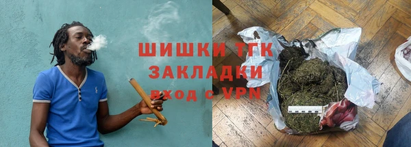 сатива Дмитриев