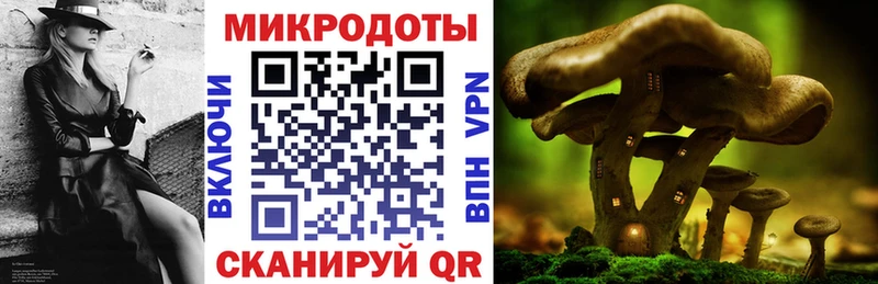 Псилоцибиновые грибы Psilocybe  Купить где  Рудня 